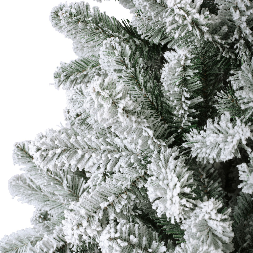 ***MONARCH PINE SNOWY GREEN/WHITE dia146.00-H240.00cm