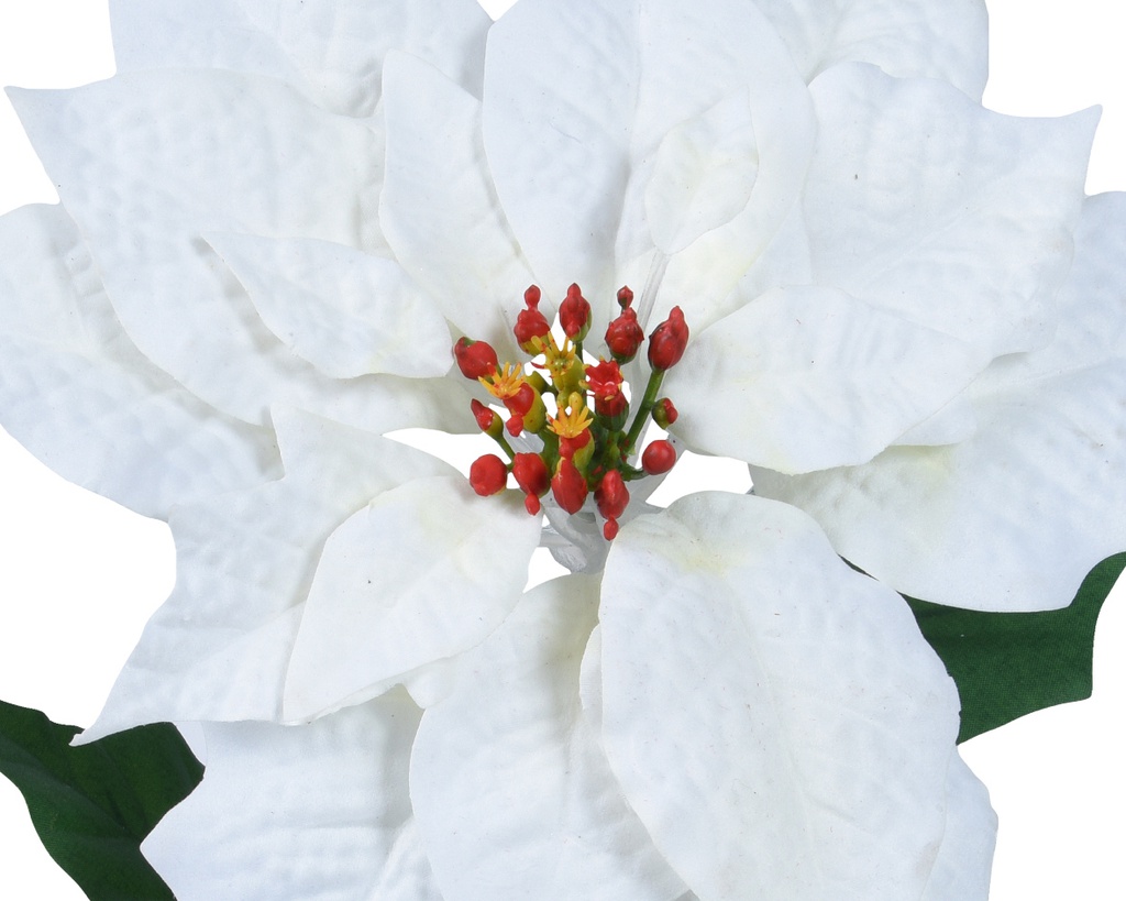 ***POINSETTIA POLYESTER OFF-WHITE L22.00-W23.00-H67.00cm