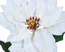 ***POINSETTIA POLYESTER OFF-WHITE L22.00-W23.00-H67.00cm