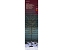 ***MICRO LED TREE OUTDOOR BLACK/CLASSIC WARM dia70.00-H180.00cm-360L