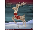 ***MICRO LED REINDEER OUTDOOR GOLD/WARM WHITE L18.00-W57.00-H100.00cm-720L