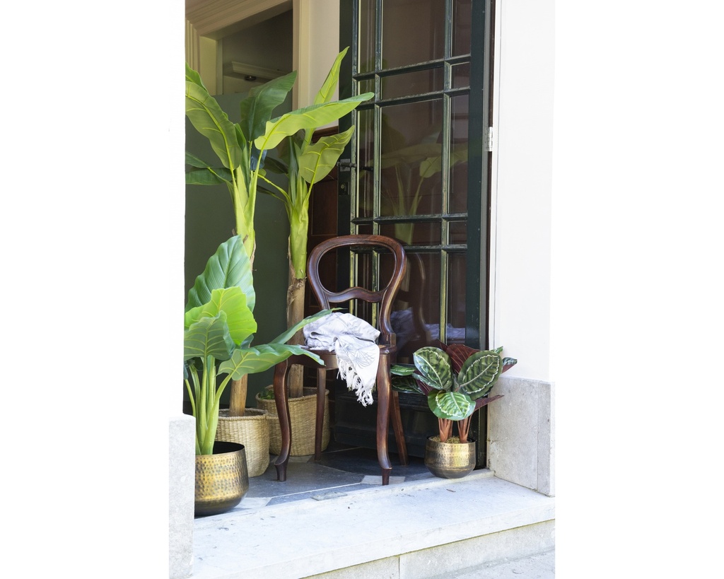 ***TARO PLASTIC GREEN L91-W91-H90cm