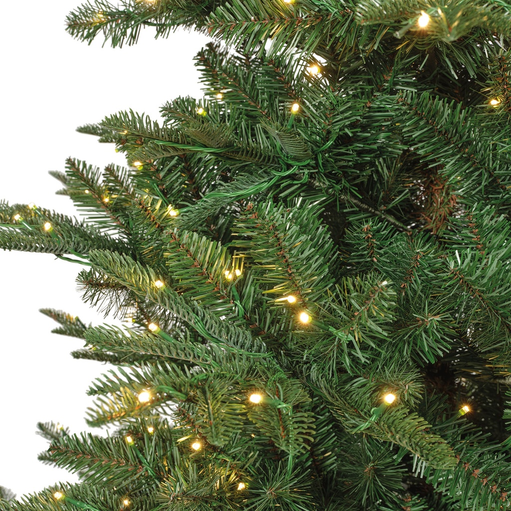 ***KIENS FIR PRELIT GREEN/WARM WHITE/CLASSIC WARM dia165.00-H240.00cm-730L