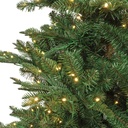 ***KIENS FIR PRELIT GREEN/WARM WHITE/CLASSIC WARM dia165.00-H240.00cm-730L