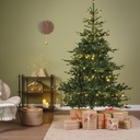***KIENS FIR PRELIT GREEN/WARM WHITE/CLASSIC WARM dia165.00-H240.00cm-730L