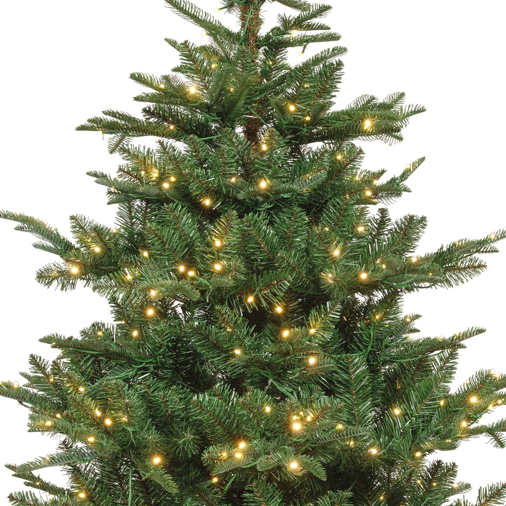***KIENS FIR PRELIT GREEN/WARM WHITE/CLASSIC WARM dia165.00-H240.00cm-730L