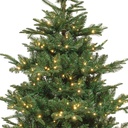 ***KIENS FIR PRELIT GREEN/WARM WHITE/CLASSIC WARM dia165.00-H240.00cm-730L