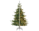 ***KIENS FIR PRELIT GREEN/WARM WHITE/CLASSIC WARM dia165.00-H240.00cm-730L