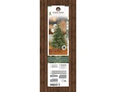 ***KIENS FIR PRELIT GREEN/WARM WHITE/CLASSIC WARM dia165.00-H240.00cm-730L