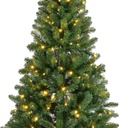 ***MONARCH PINE PRELIT GREEN/WARM WHITE dia146.00-H240.00cm-400L