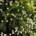 ***LED CLUSTER LIGHTS OUTDOOR BLACK/WARM WHITE 2800cm-3000L