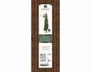 ***SLIM FIR GREEN dia55.00-H180.00cm