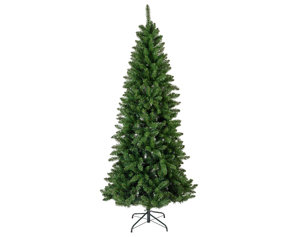 SAPIN VERT 689571