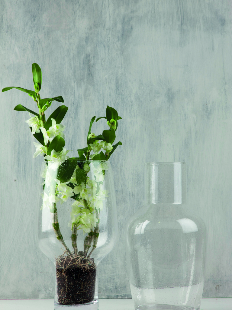 MACETA D22 H18,5 ARCHER TRANSP