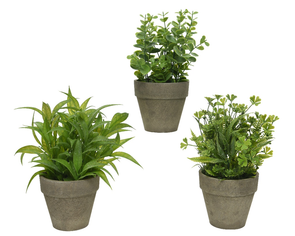 PLANTITA EN MACETA - dia20-H25CM - 3 MODELOS - PRECIO UNIDAD