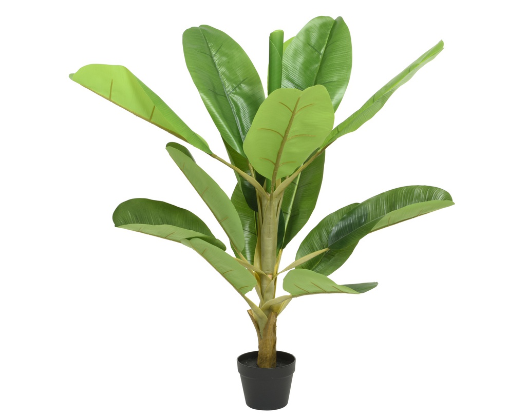 BANANERO EN MACETA - COLOR VERDE -dia60-H120CM - PRECIOSO