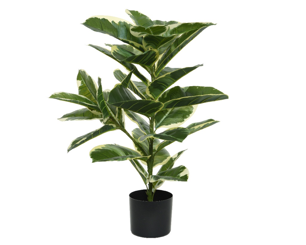 ***PLANT PLASTIC L61-W61-H76cm