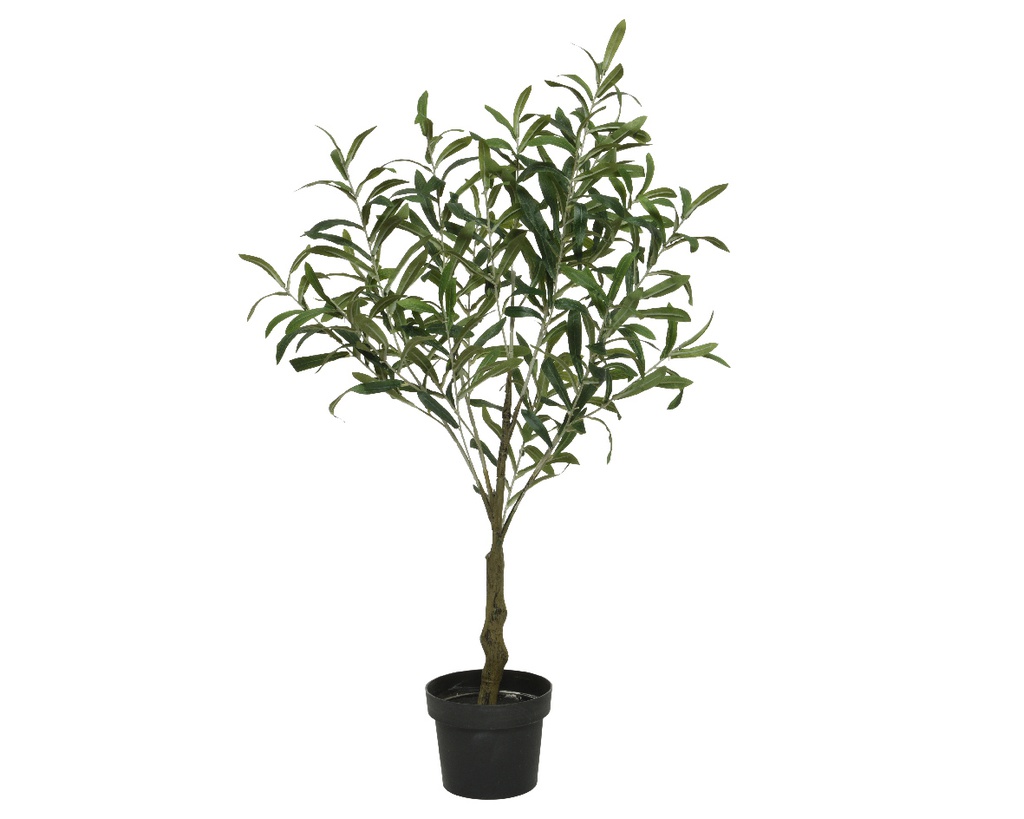 ***OLIVE TREE FIBRE dia51-H90cm
