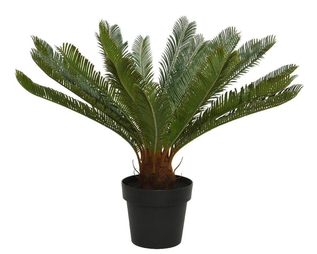 ***CYCAS PLASTIC dia80-H60cm
