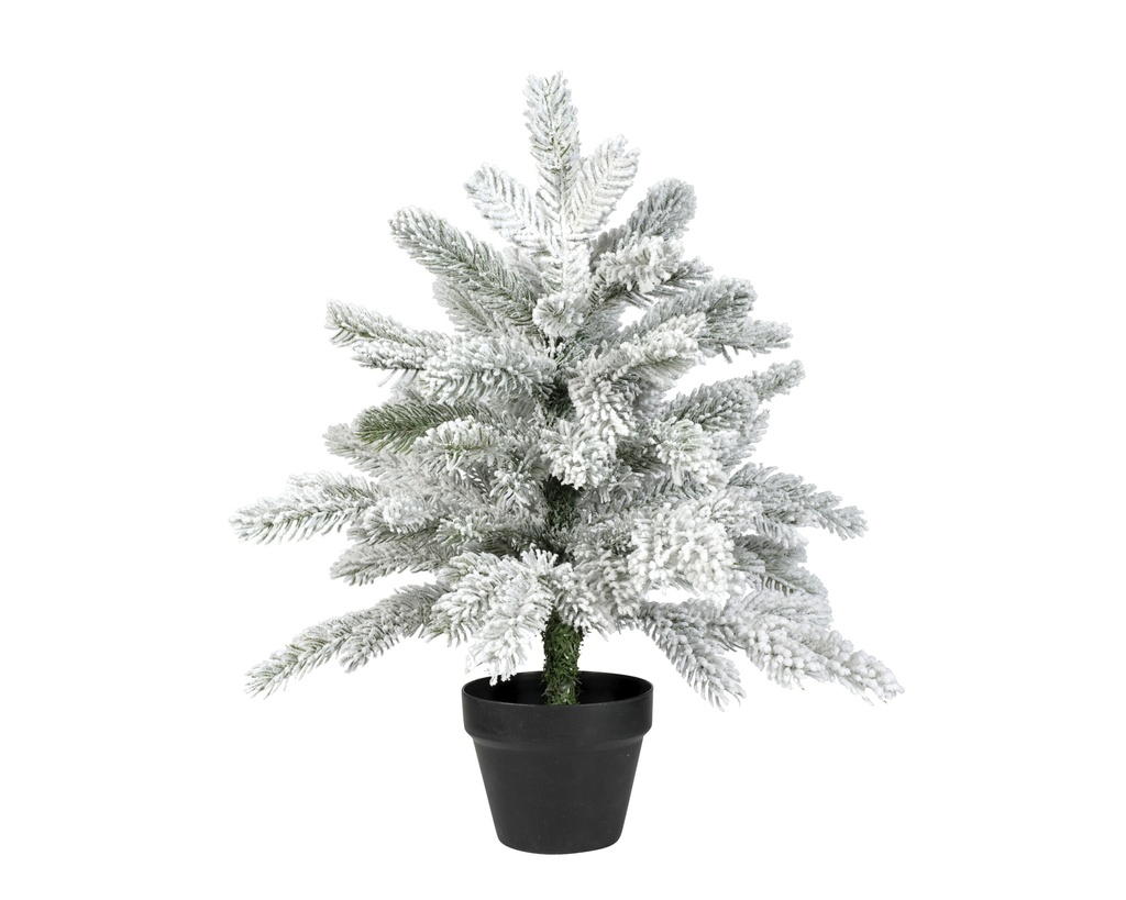 ABETO GRANDIS MINI NEVADO VERDE/BLANCO dia35.00-H45.00cm