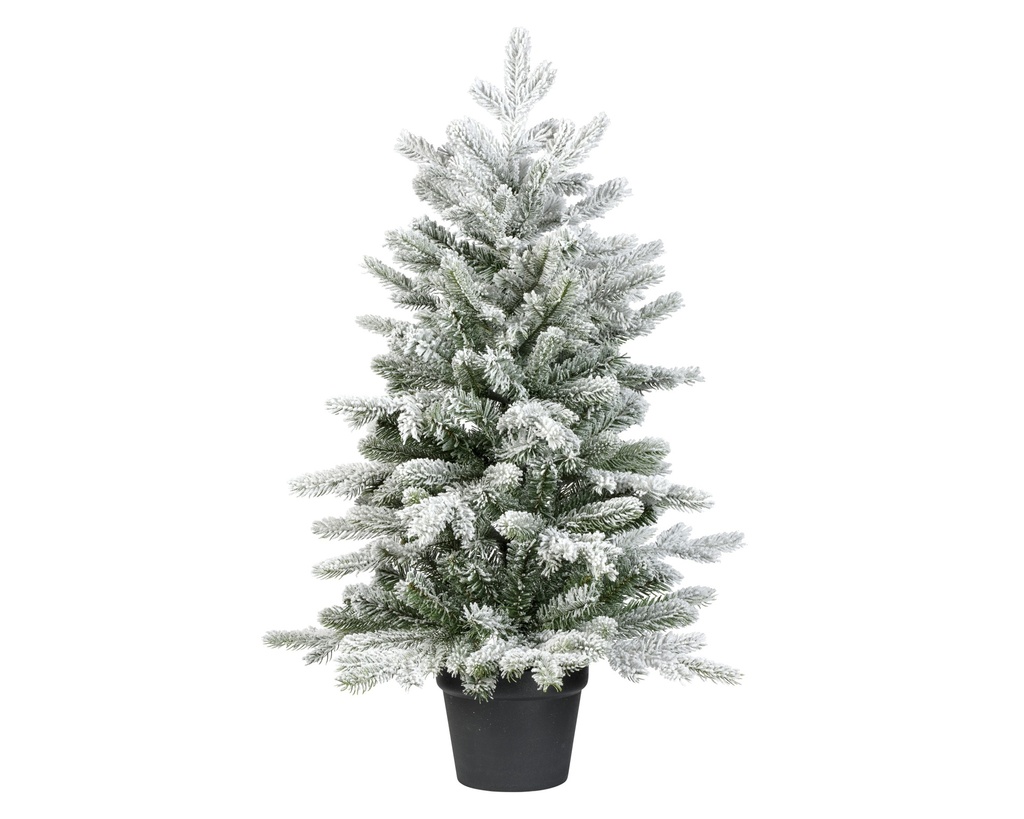 ABETO GRANDIS MINI NEVADO VERDE dia63.00-H90.00cm