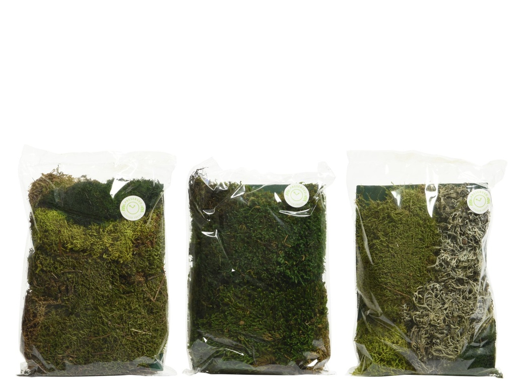 ***MOSS NATURAL GREEN L18.00-W4.00-H22.00cm