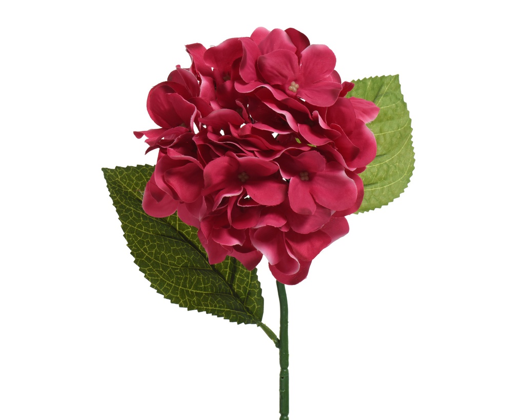 HORTENSIA COLOR FUCHSIA L17.00-W19.00-H66.00cm