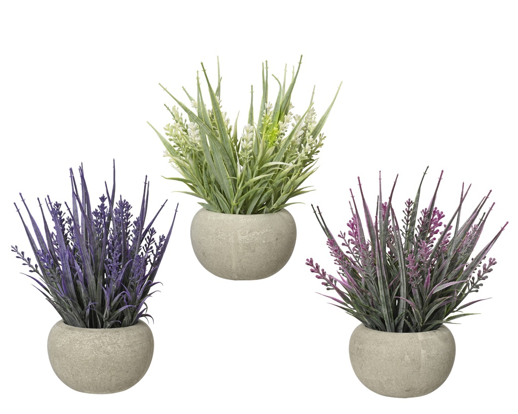PETITE PLANTE TYPE LAVANDE EN BOIS - 3 ASSORTIMENTS - PRIX A L'UNITE - dia10.00-H20.00cm