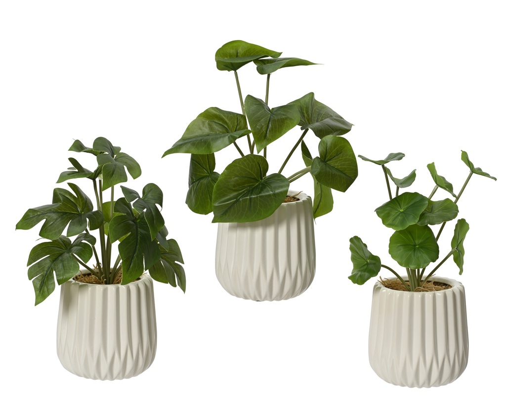 ***PLANT PE GREEN/WHITE dia11.00-H28.00cm