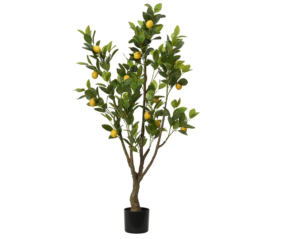 ***PLANT PE YELLOW/COLOUR(S) L60.00-W48.00-H130.00cm