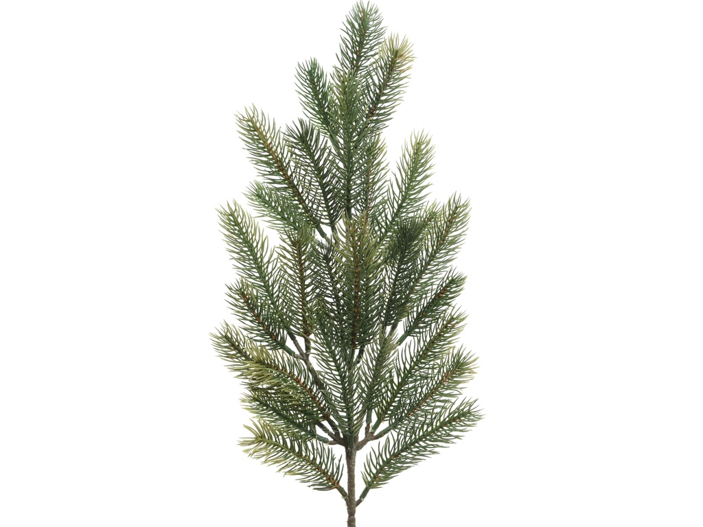 ***SPRAY GREEN L6.00-W12.00-H66.00cm