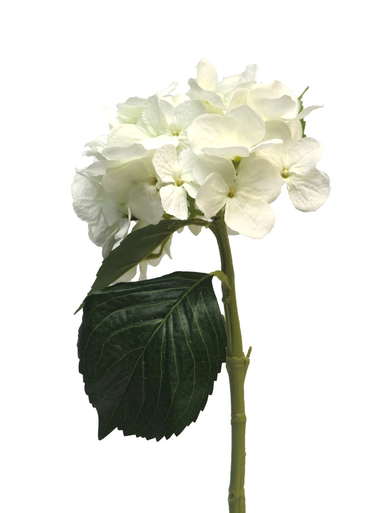 (Best) Hydrangea Artist white 48cm
