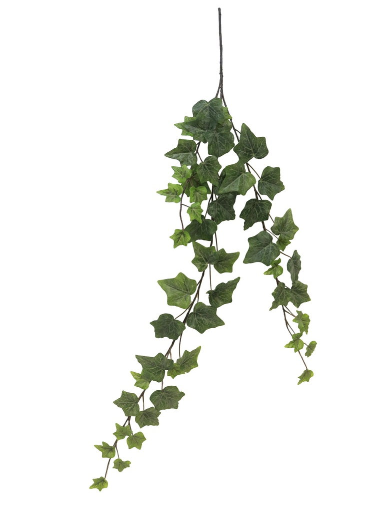 (Best) Ivy Chicago hanger S frosted x3 80cm (51 lvs)