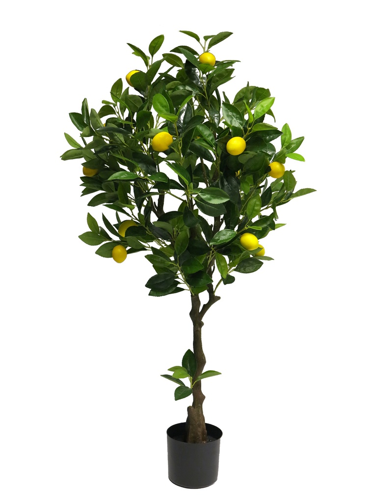 (Best) Lemon tree 120cm (15 lemons yellow)