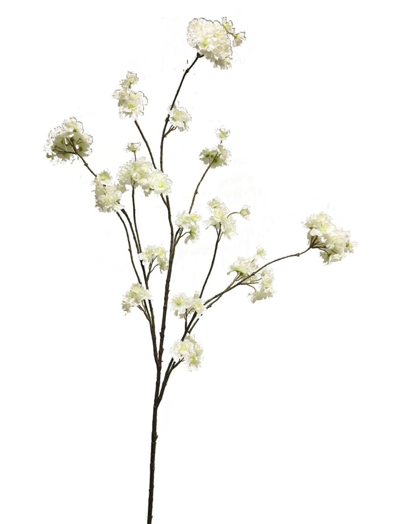 (Best) Prunus Malaga spray white 126cm