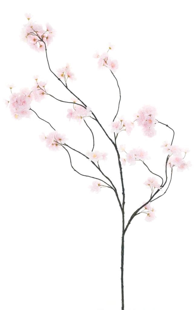 (Best) Prunus Malaga spray pink 126cm