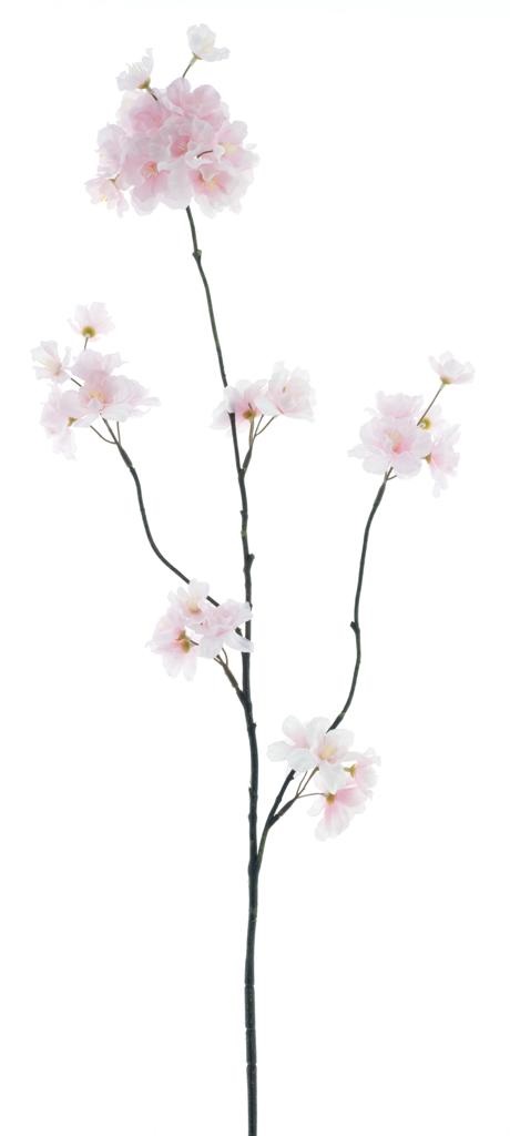 (Best) Prunus Malaga spray pink 84cm