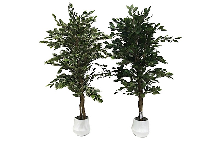 ***4' FICUS TREE 768LVS