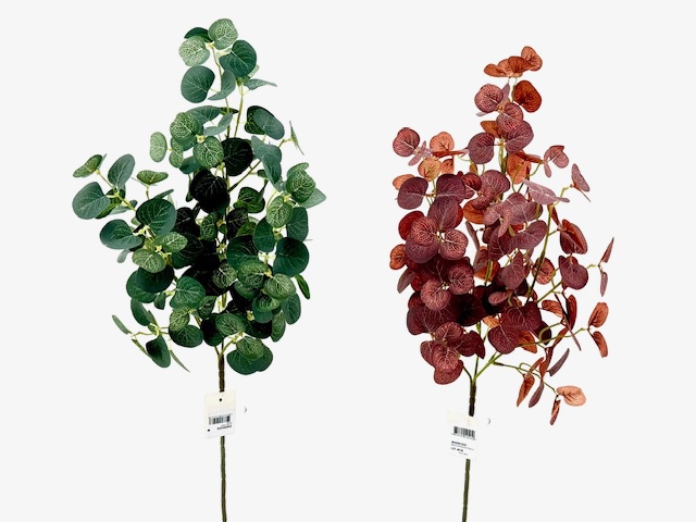 EUCALYPTUS TOUCHER SOYEUX - 64CM X 3