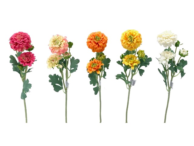 DAHLIA - 4FL 1BUD 52CM