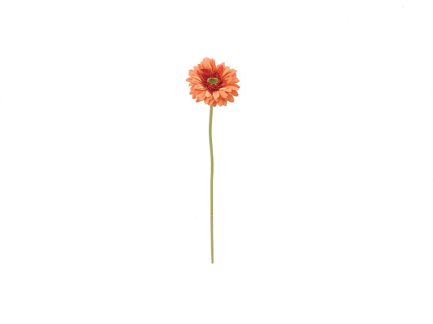 MARGUERITE - 61CM