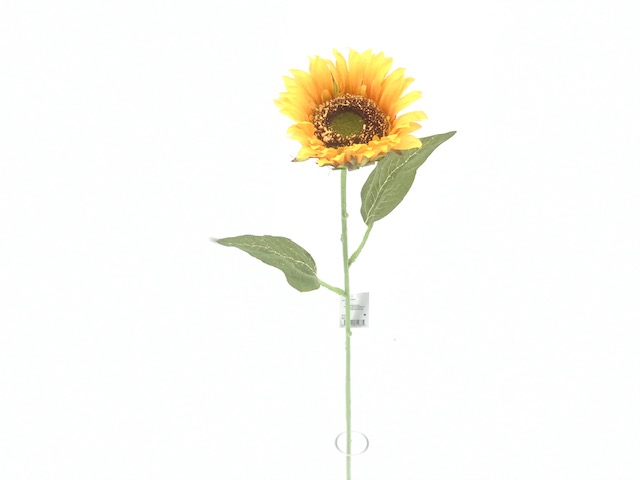 TOURNESOL