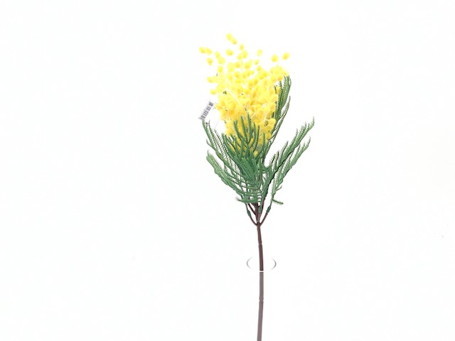 ***54CM MIMOSA STEM