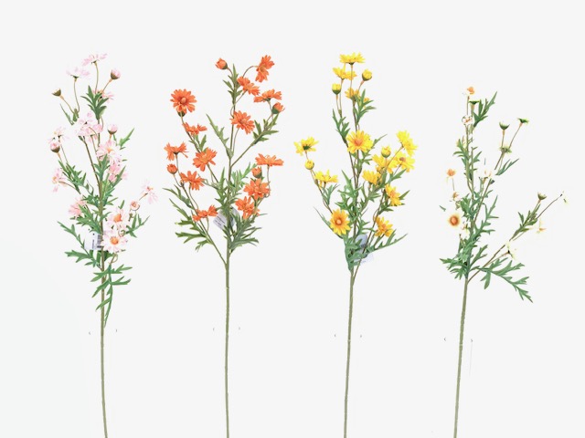 BRANCHE DE MARGUERITES - ORANGE