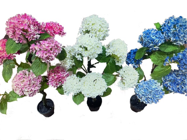 HORTENSIA EN MACETA BLANCO - 100CM