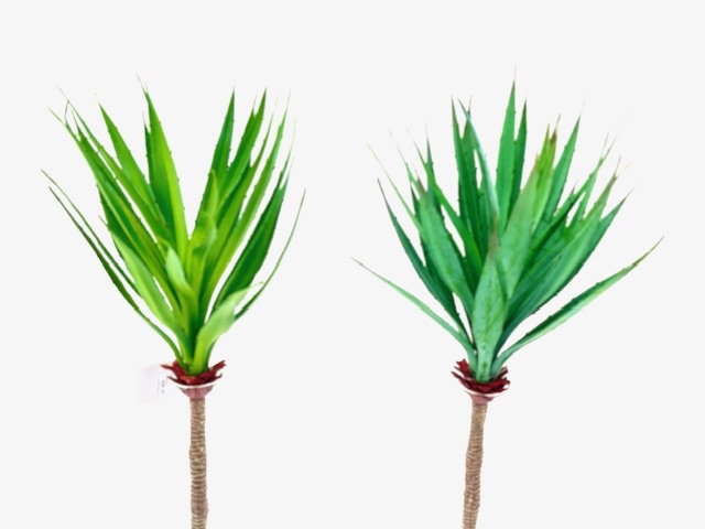 HOJAS DE CACTUS - 17"