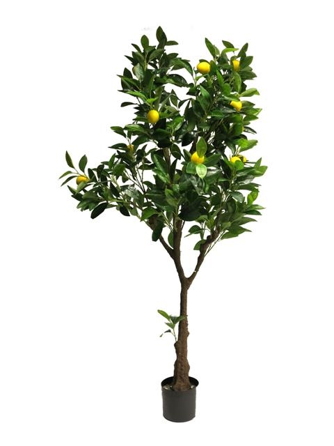 (Best) Lemon tree 150cm (16 lemons yellow)