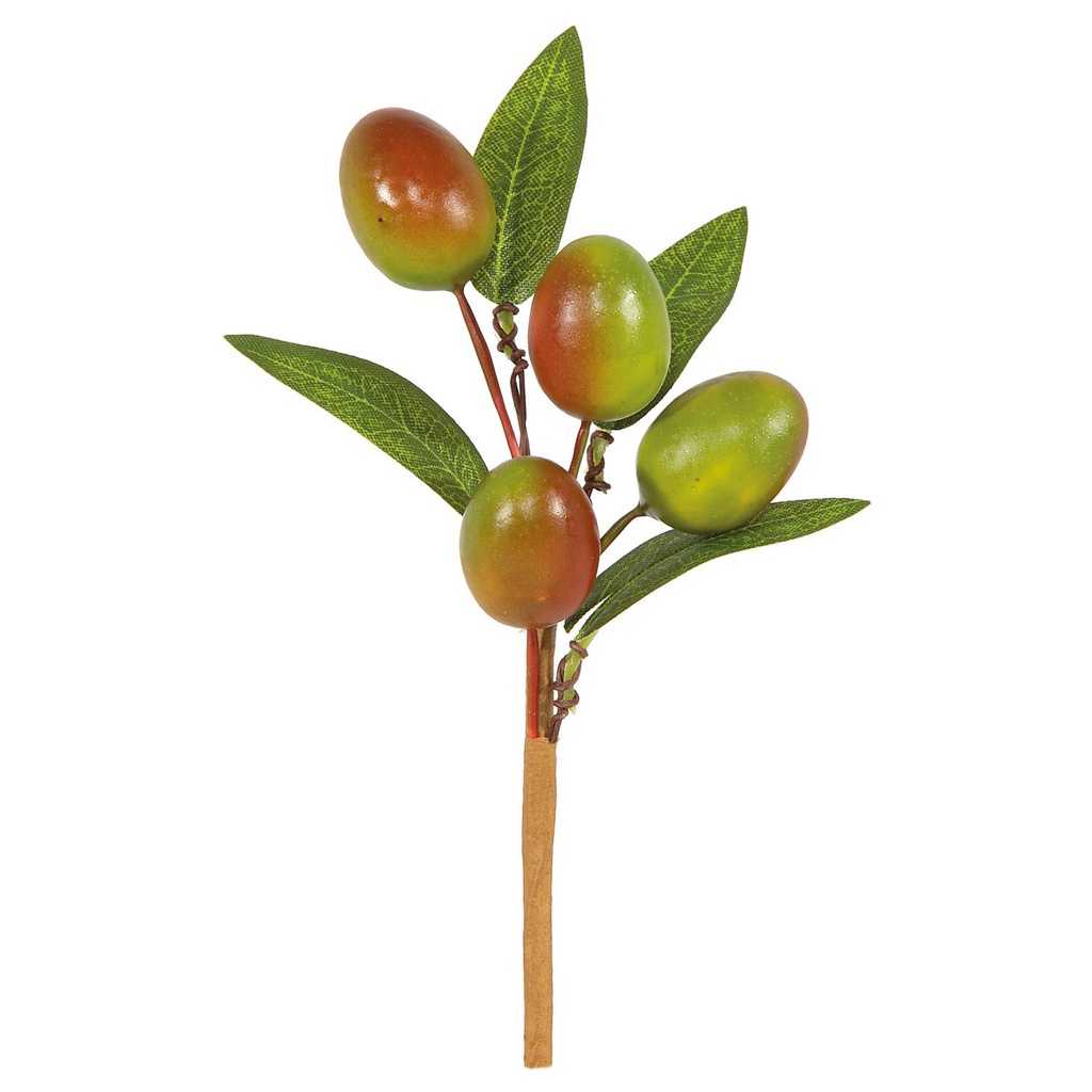 FLEURE AVEC DES OLIVES - CM4XH14