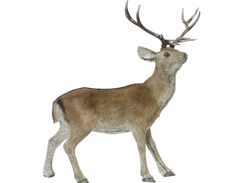 RENNE AVEC UNE FOURRURE ARTIFICIELLE/NATURELLE - L29.00-W56.00-H67.00cm