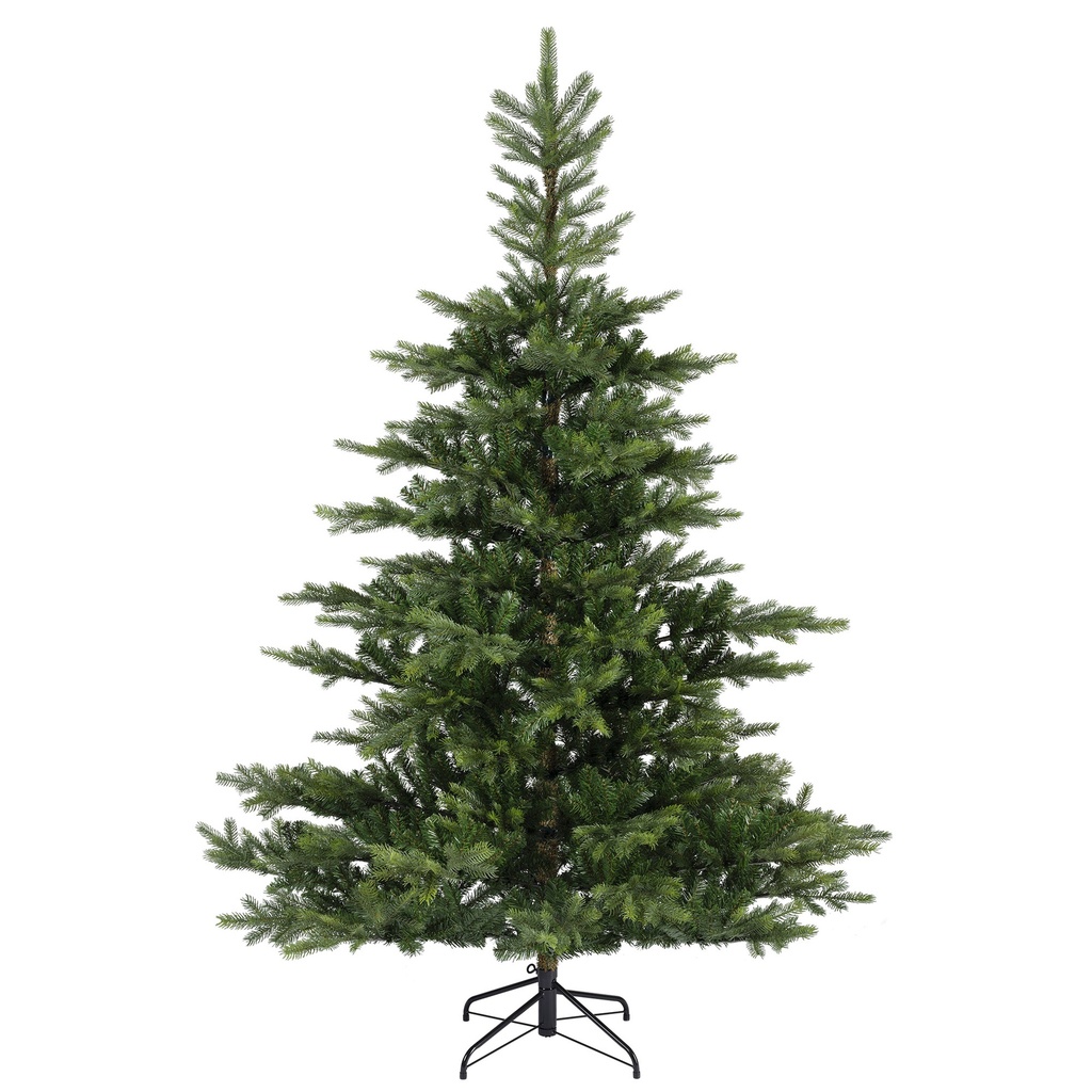 ABETO GRANDIS GREEN dia250.00-H450.00cm  dia250.00-H450.00cm  dia250.00-H450.00cm